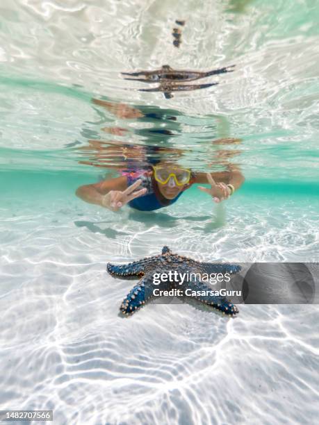 woman snorkelling around a beautiful blue sea star on pure white seabed sand - zanzibar 個照片及圖片檔