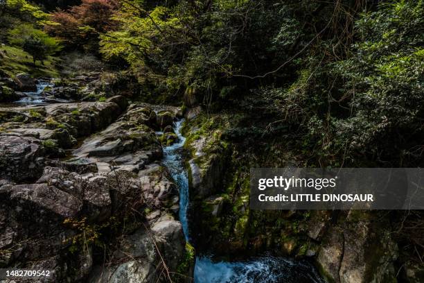 small waterfall at mossy forest - small waterfall stock pictures, royalty-free photos & images