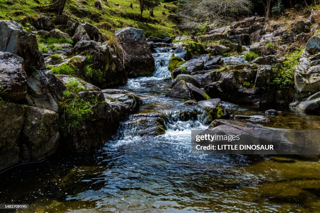 Running mountain stream on the mossy rock