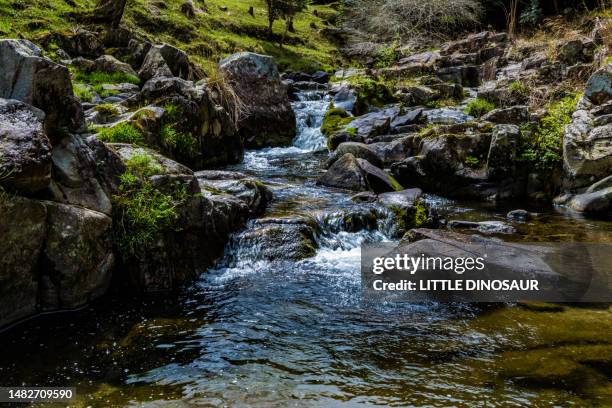 running mountain stream on the mossy rock - brook stock pictures, royalty-free photos & images