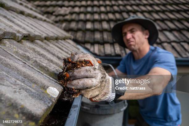 removing all the leaves from the roof gutters before the winter - taktegel bildbanksfoton och bilder
