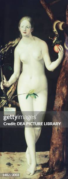 Eve by Albrecht Durer , oil on canvas, 209x83 cm. ; Madrid, Museo Del Prado.