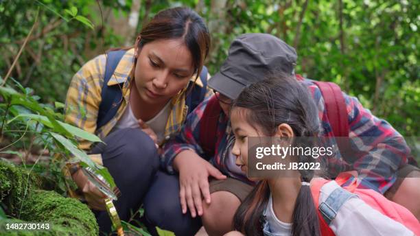545 Knowledge To Eight Nature Stock Photos, High-Res Pictures, and ...