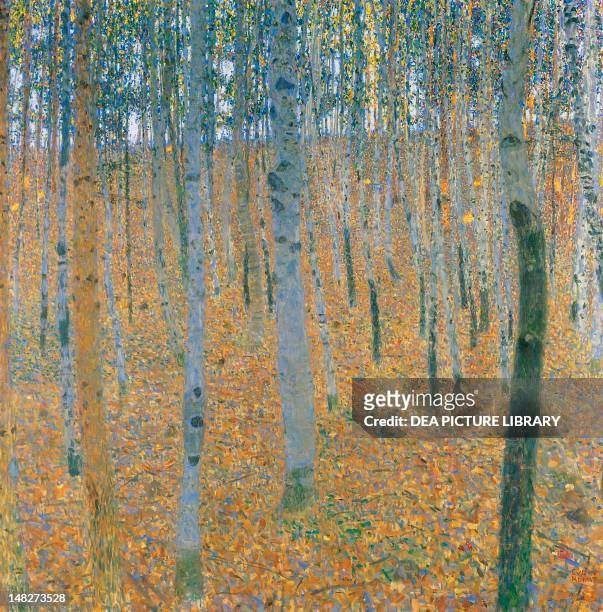 Beechwood forest by Gustav Klimt , 100x100 cm. ; Dresda, Gemäldegalerie Neue Meister .