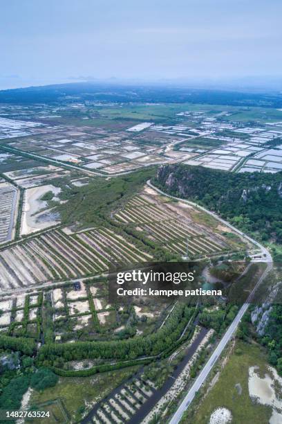 Sam Rix Farm 13,912 Sam Village Stock Photos, High-Res Pictures, and Images - Getty ...