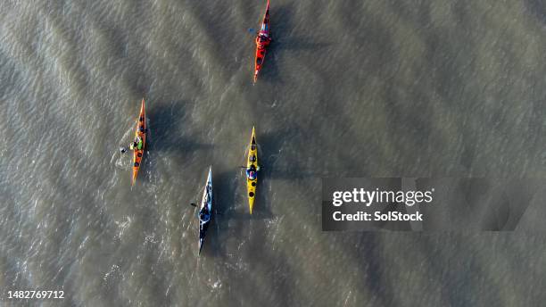 active kayakers on the waters - zeekajakken stockfoto's en -beelden