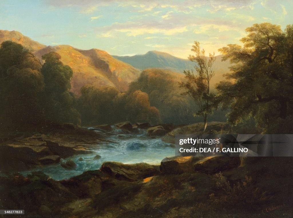 Bushland, 1850, by Alessandro Calame (1816-1864), 27x37 cm. (Photo by DeAgostini/Getty Images)
