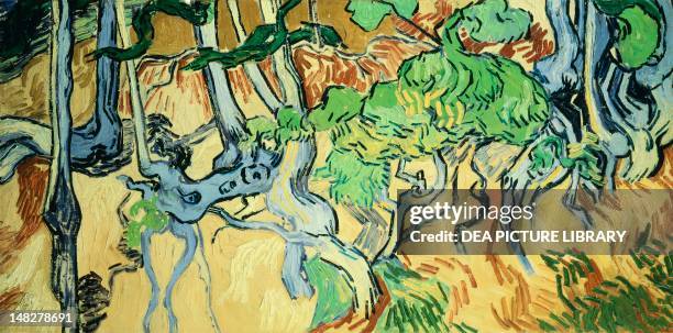 Tree With Roots Painting Van Gogh Tree Roots Photos and Premium High Res Pictures - Getty Images
