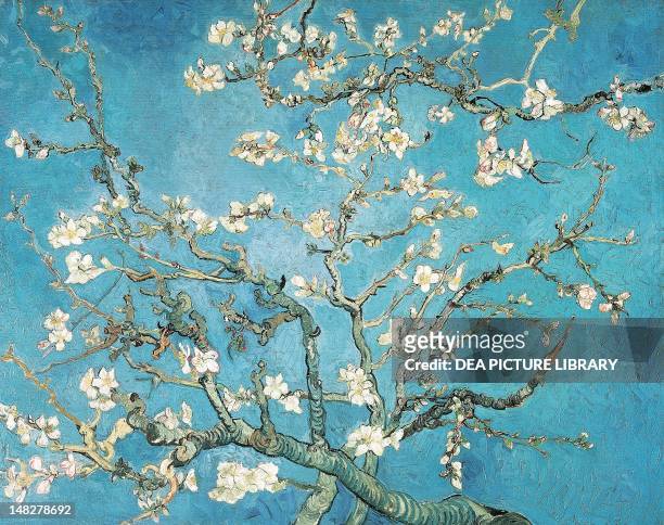 Almond branches in bloom by Vincent van Gogh . ; Amsterdam, Van Gogh Museum.