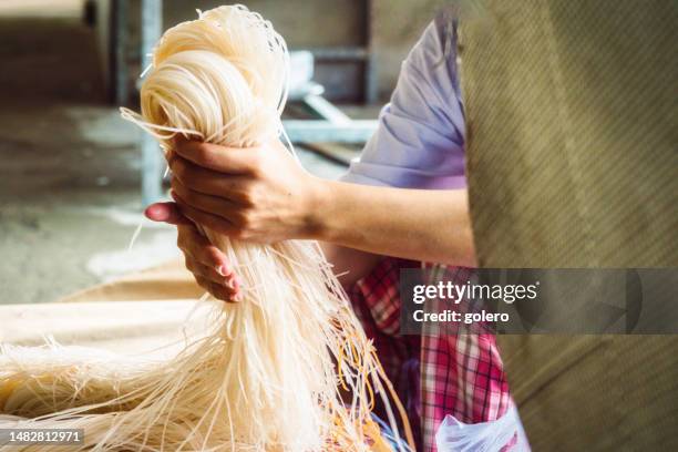 vietnamese woman sorting rice noodles - rice noodles stock pictures, royalty-free photos & images