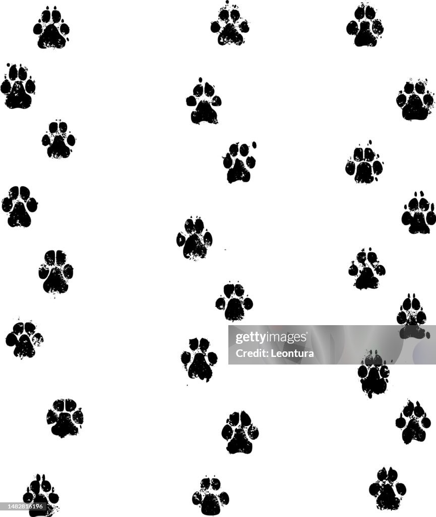 Dog Print Footpath
