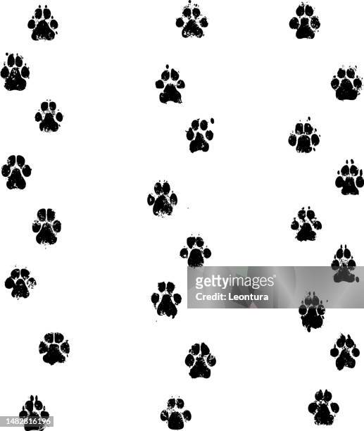 dog print footpath - dog white background stock illustrations
