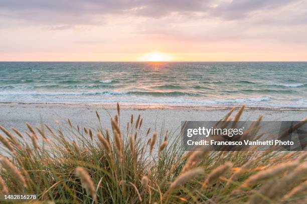 baltic sea coastline at sunset, germany. - north sea fotografías e imágenes de stock