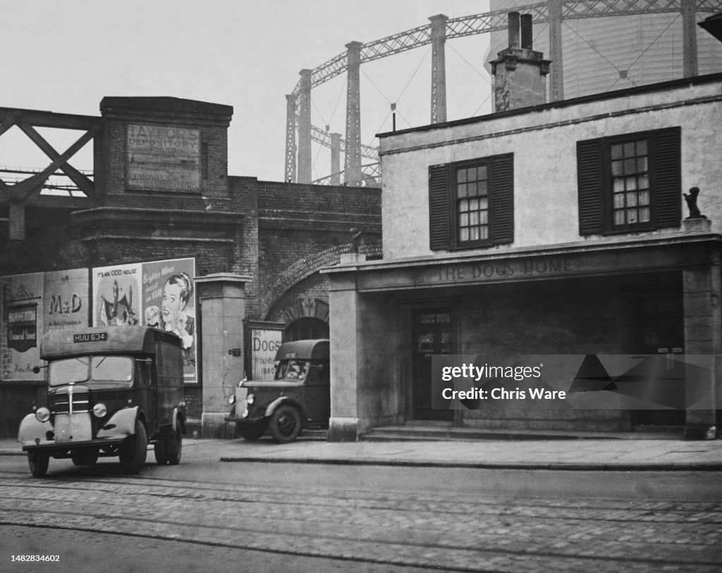 Battersea Dogs' Home