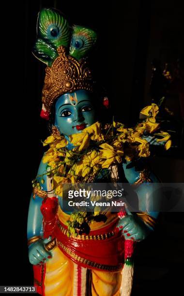 blue idol of lord krishna/cassia fistula/golden shower flowers/vishu kani/vishu festival/malayalm new year/kerala - amaltas foto e immagini stock