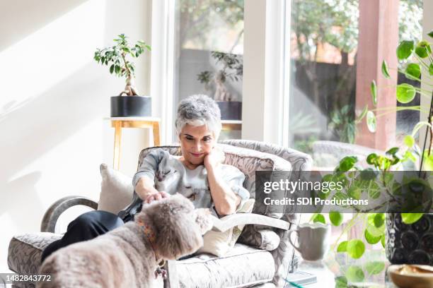 mature woman smiles and greets her dog while she takes a break from work - widow stock pictures, royalty-free photos & images