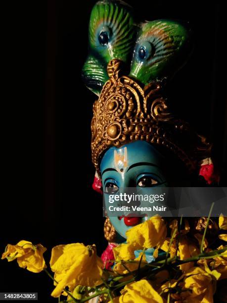 blue idol of lord krishna/cassia fistula/golden shower flowers/vishu kani/vishu festival/malayalm new year/kerala - amaltas foto e immagini stock