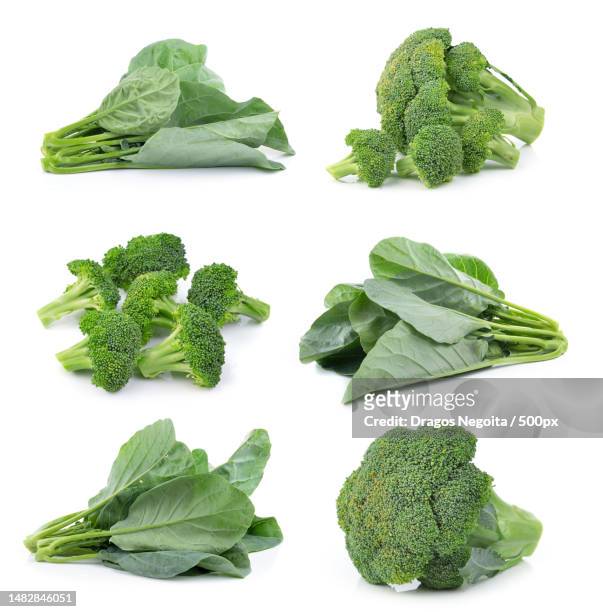 chinese broccoli and broccoli on white background,romania - broccoli on white stock-fotos und bilder