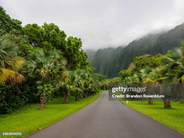 hoʻomaluhia botanical garden in oahu, hawaii - us botanic garden stock-fotos und bilder