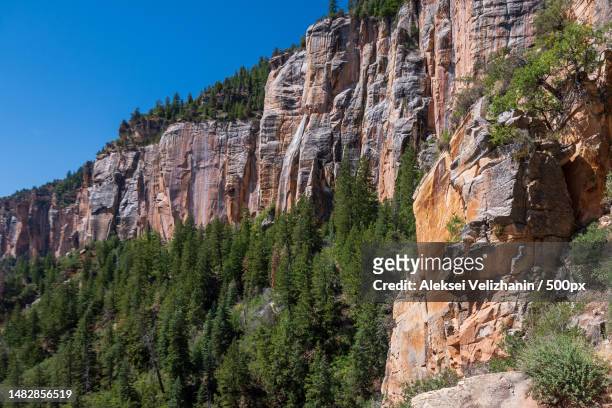 low angle view of rock formation against sky,north rim,arizona,united states,usa - versante nord del grand canyon foto e immagini stock