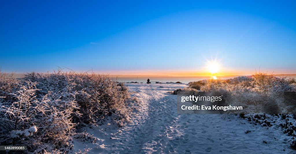 Snow on the ground