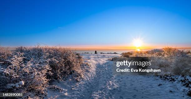 snow on the ground - telemark foto e immagini stock