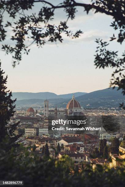 cattedrale di santa maria del fiore viewed at sunset from piazzale michelangelo - fiore di campo fotografías e imágenes de stock