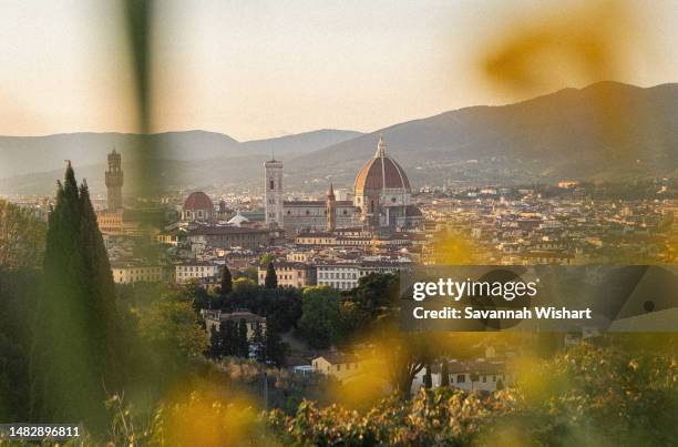 cattedrale di santa maria del fiore viewed at sunset from piazzale michelangelo - fiore di campo fotografías e imágenes de stock