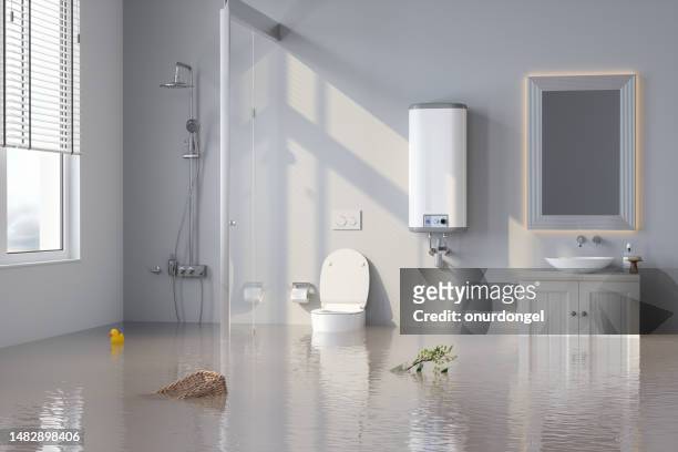 salle de bain inondée avec plante et panier flottant sur l’eau. - restoration style photos et images de collection