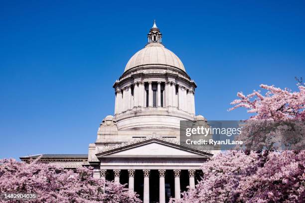 washington state capitol building with cherry blossoms - washington state capitol stock pictures, royalty-free photos & images