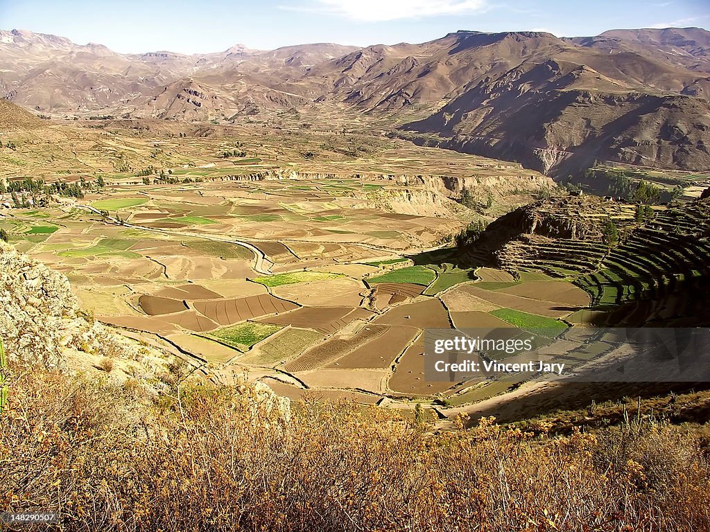 Terrace peru