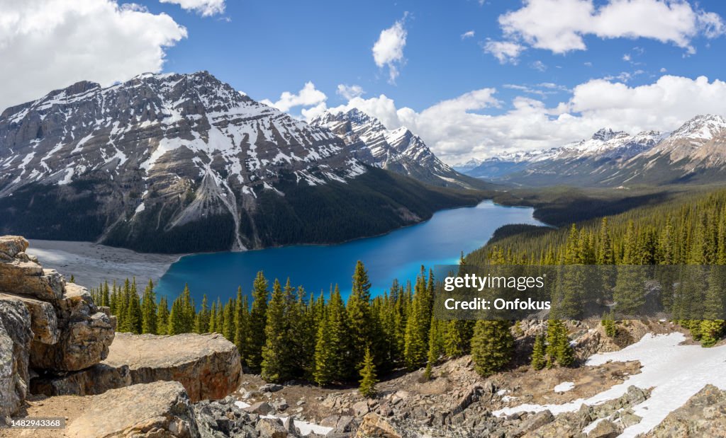 Panoramic Picture of Peyto Lake, Banff National Park, Alberta, Canada during Summer