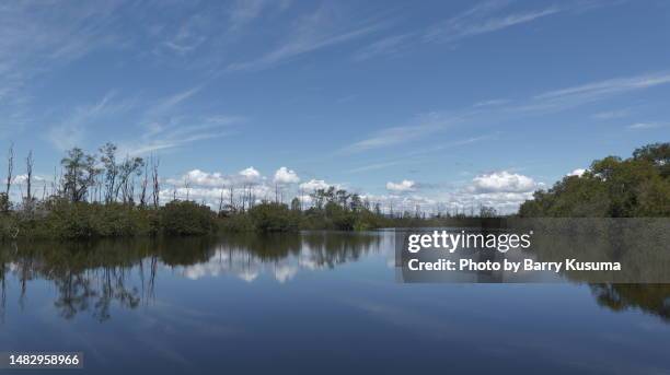 Sentarum Lake Sentarum National Park Photos and Premium High Res Pictures ...