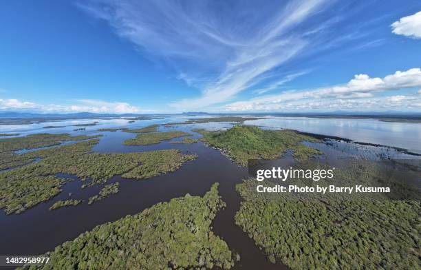 Sentarum Lake Sentarum National Park Photos and Premium High Res Pictures ...