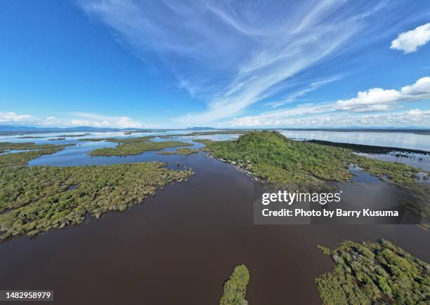 Sentarum Lake Sentarum National Park Photos and Premium High Res Pictures ...