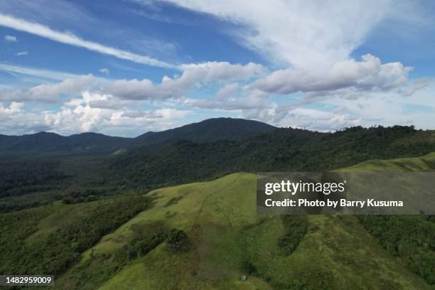 Sentarum 25 Lake Sentarum National Park Stock Photos, High-Res Pictures, and ...