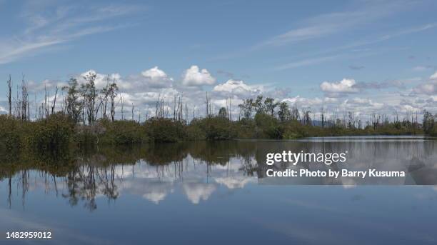 Sentarum Lake Sentarum National Park Photos and Premium High Res Pictures ...