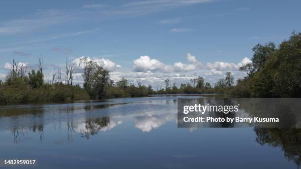 Sentarum 25 Lake Sentarum National Park Stock Photos, High-Res Pictures, and ...