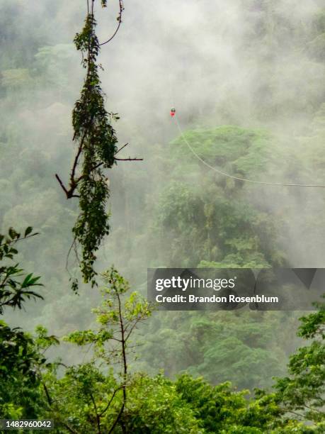 zip-lining in costa rica - costa rica zipline stock pictures, royalty-free photos & images