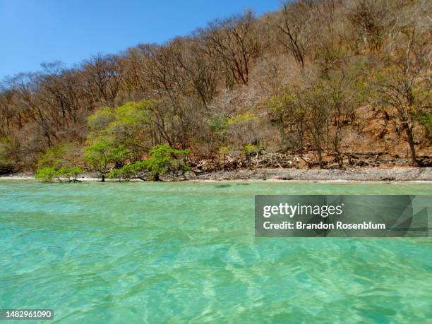 gulf of papagayo in costa rica - papagayo guanacaste fotografías e imágenes de stock