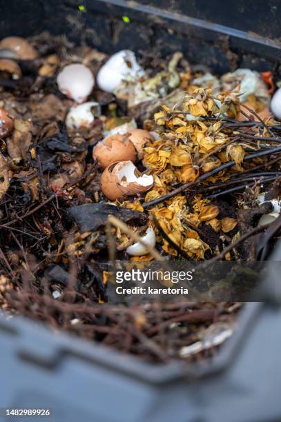 organic waste in compost container - eggshell stock pictures, royalty-free photos & images