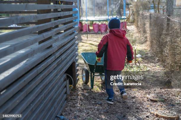 boy carrying wheelbarrow with compost - lawn fertilizer stock pictures, royalty-free photos & images