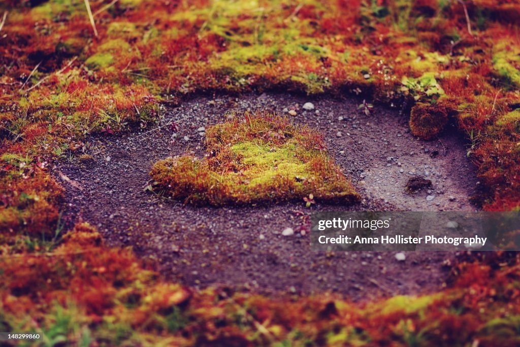 Mossy heart