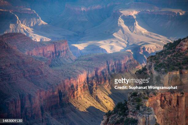 grand canyon (north rim) - cape royal - grand canyon national park stock pictures, royalty-free photos & images