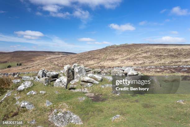 grimspound prehistoric village in dartmoor national park - grimspound imagens e fotografias de stock