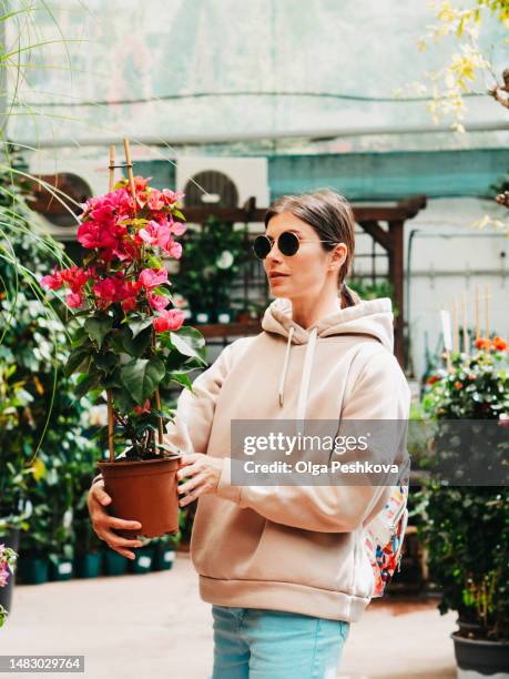 young woman in sunglasses chooses a beautiful flowering plant in the garden shop - olga mountains australia stockfoto's en -beelden