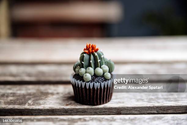 cupcake in the form of a cactus plant, close-up view - unexpected stock pictures, royalty-free photos & images