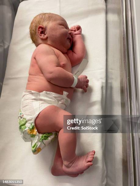 newborn sleeping in the hospital - its a girl kort fras bildbanksfoton och bilder