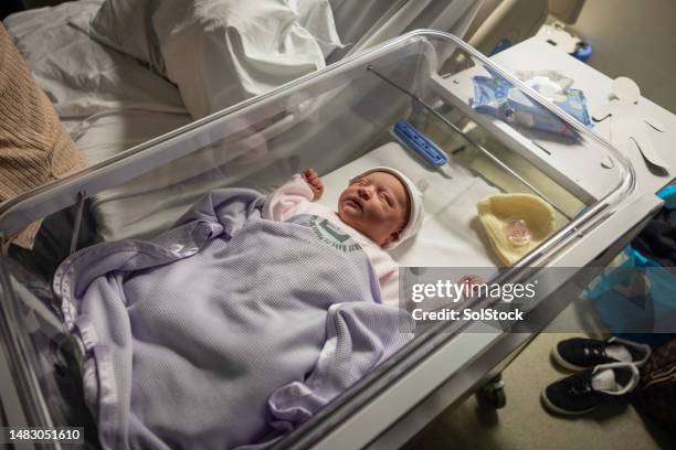 looking at her newborn - baby hospital stock pictures, royalty-free photos & images