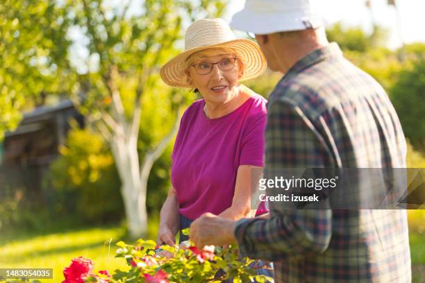 senior woman talking to man in garden - like stock pictures, royalty-free photos & images